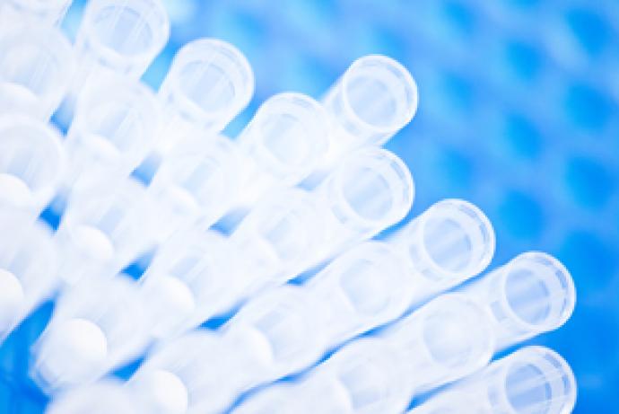 Blue pipette tips