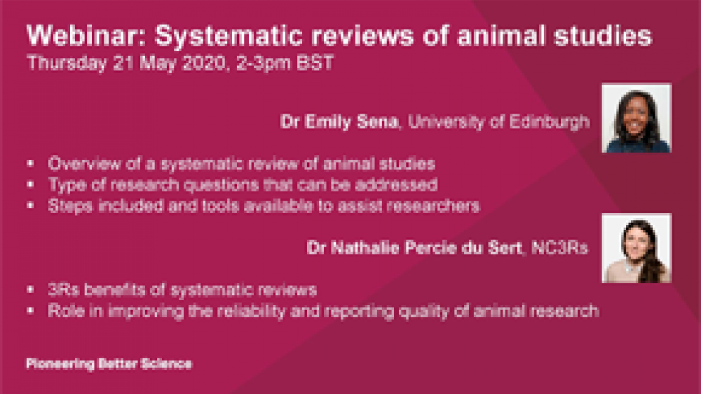 A powerpoint slide showing the title of this webinar, and the headshots of Dr. Emily Sena and Dr. Nathalie Percie du Sert