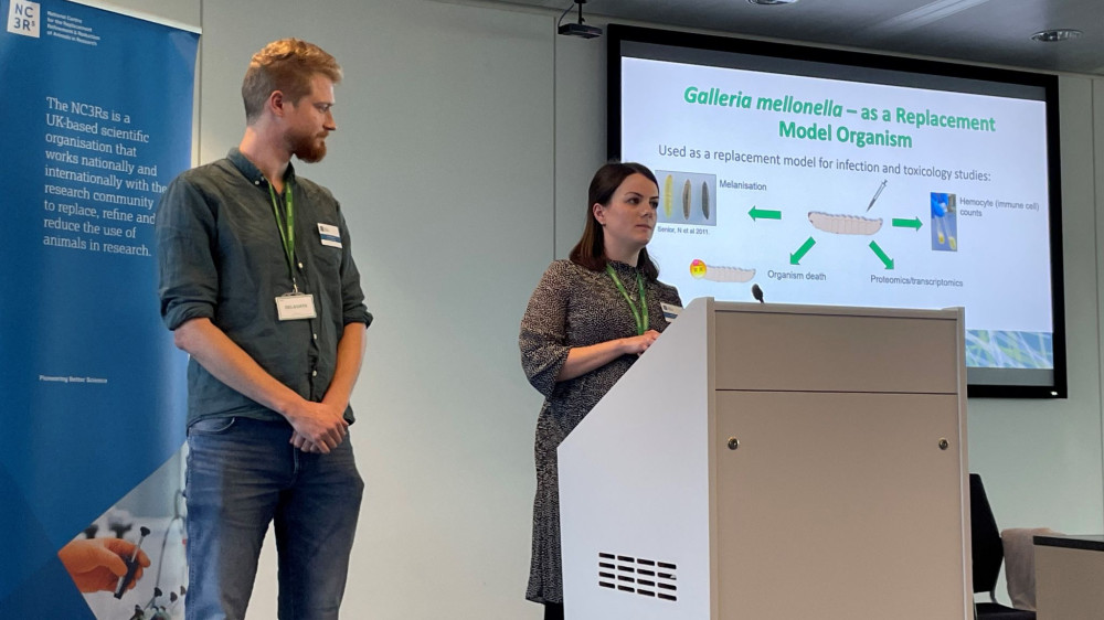 Drs Jennie Campbell and James Pearce stand at a podium presenting research about Galleria at an NC3Rs stakeholder event.